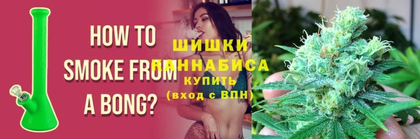 гидра Алексеевка