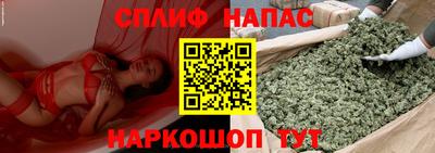 МДПВ Донской