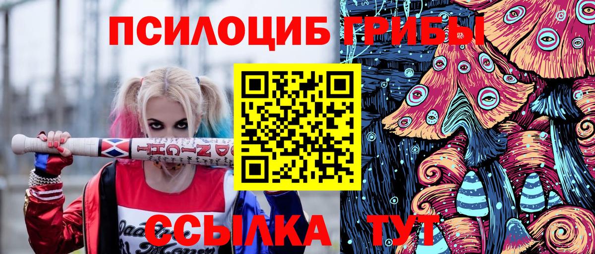 купить   Галлюциногенные грибы прущие грибы  Новороссийск  Вход с VPN  Галлюциногенные грибы Psilocybe 