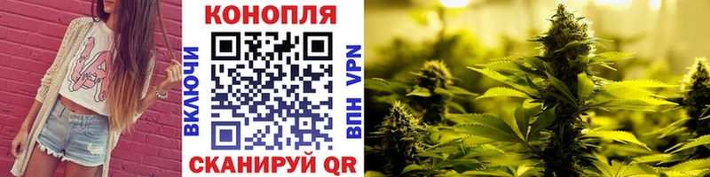 блэк спрут как войти  Новороссийск  Конопля OG Kush  закладки 