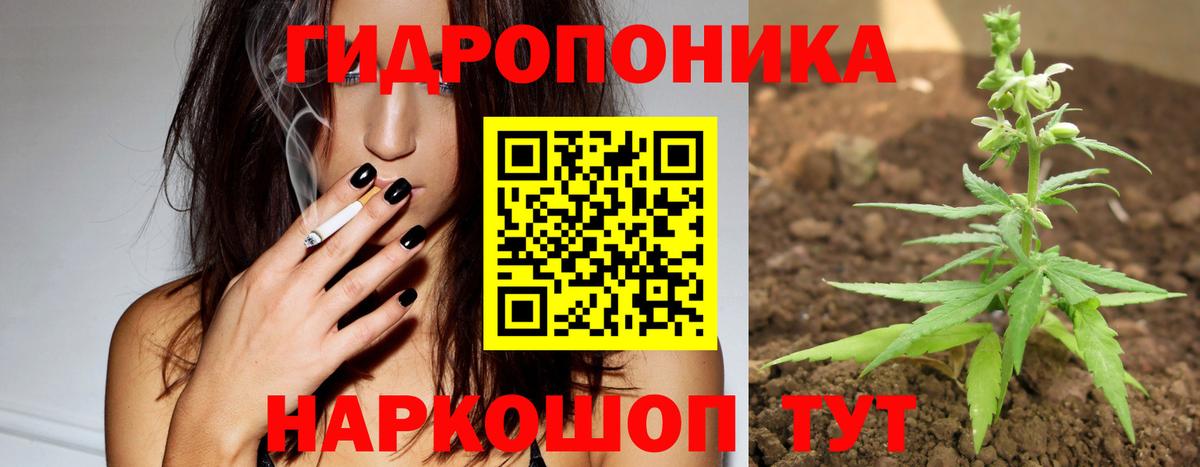 Каннабис конопля Новороссийск